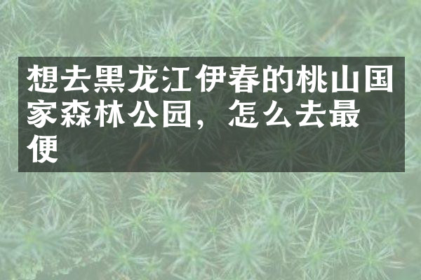 想去黑龙江伊春的桃山国家森林公园，怎么去最方便