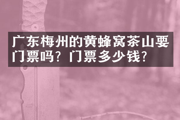 广东梅州的黄蜂窝茶山要门票吗？门票多少钱？