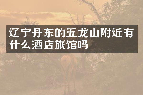 辽宁丹东的五龙山附近有什么酒店旅馆吗