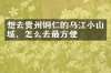 想去贵州铜仁的乌江小山城，怎么去最方便