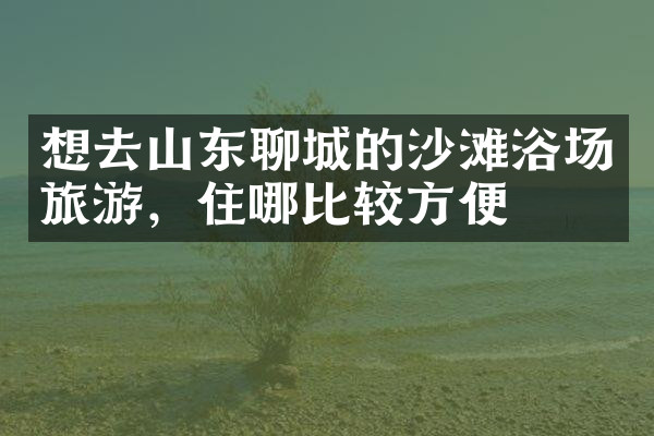 想去山东聊城的沙滩浴场旅游，住哪比较方便
