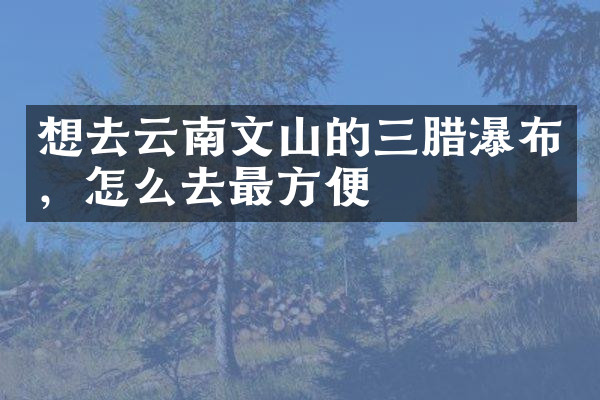 想去云南文山的三腊瀑布，怎么去最方便