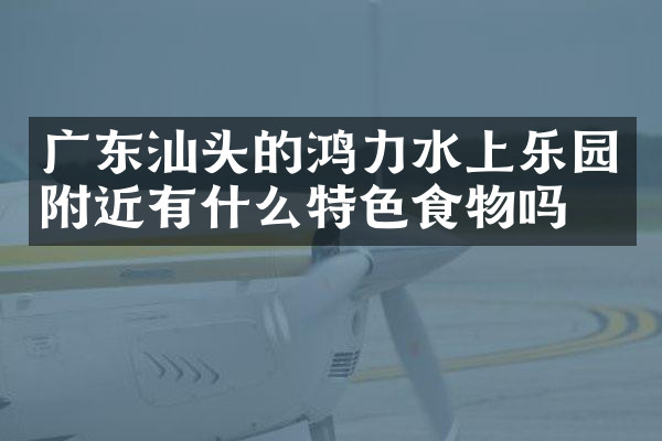广东汕头的鸿力水上乐园附近有什么特色食物吗