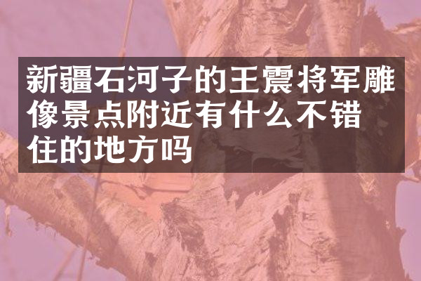 新疆石河子的王震将军雕像景点附近有什么不错的住的地方吗