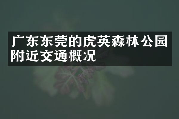 广东东莞的虎英森林公园附近交通概况