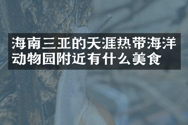 海南三亚的天涯热带海洋动物园附近有什么美食