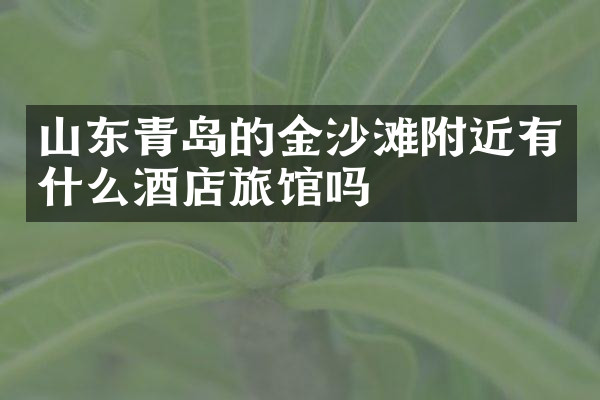 山东青岛的金沙滩附近有什么酒店旅馆吗