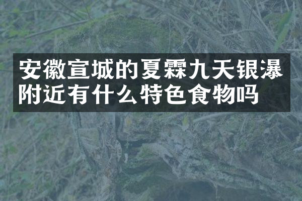安徽宣城的夏霖九天银瀑附近有什么特色食物吗