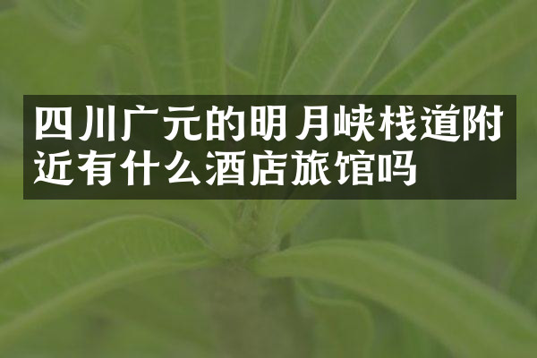 四川广元的明月峡栈道附近有什么酒店旅馆吗