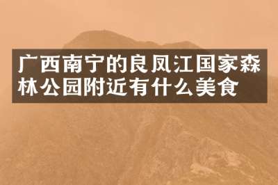 广西南宁的良凤江国家森林公园附近有什么美食