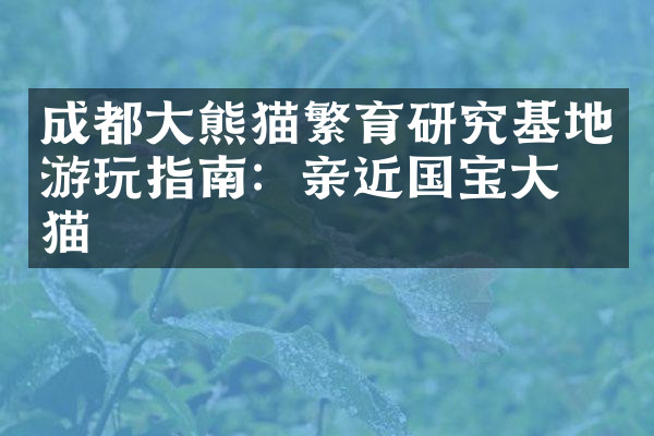 成都大熊猫繁育研究基地游玩指南：亲近国宝大熊猫