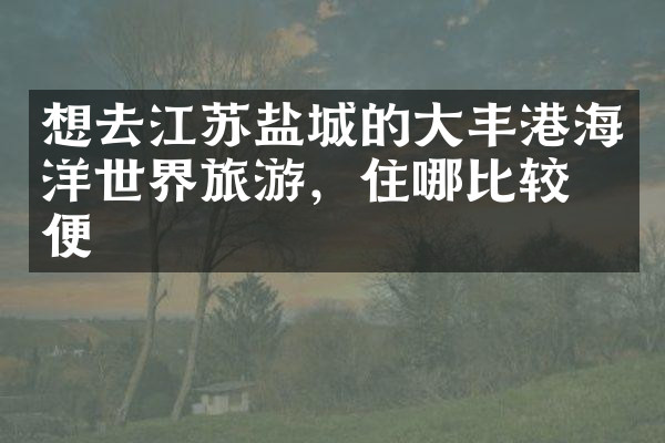 想去江苏盐城的大丰港海洋世界旅游，住哪比较方便