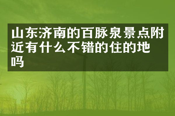 山东济南的百脉泉景点附近有什么不错的住的地方吗