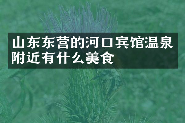 山东东营的河口宾馆温泉附近有什么美食