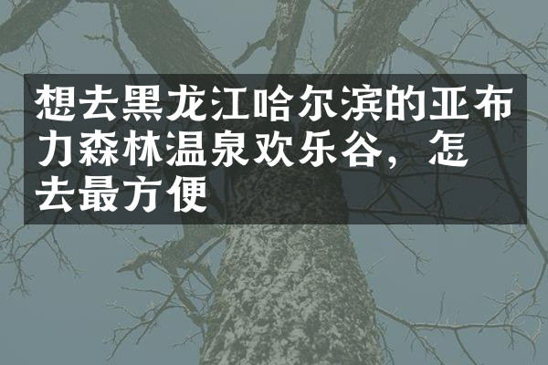 想去黑龙江哈尔滨的亚布力森林温泉欢乐谷，怎么去最方便