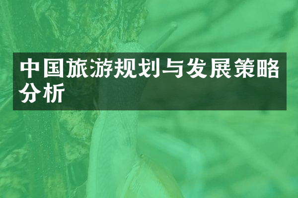 中国旅游规划与发展策略分析