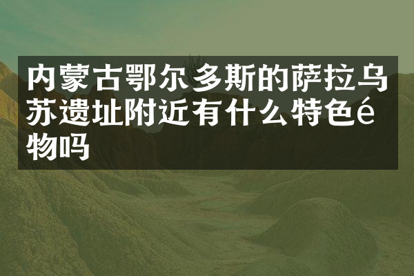 内蒙古鄂尔多斯的萨拉乌苏遗址附近有什么特色食物吗