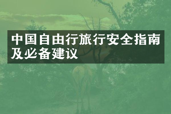 中国自由行旅行安全指南及必备建议