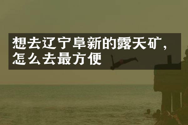 想去辽宁阜新的露天矿，怎么去最方便