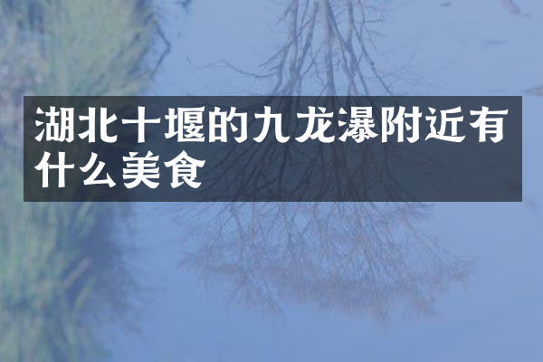 湖北十堰的九龙瀑附近有什么美食