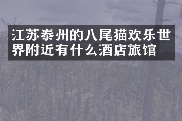 江苏泰州的八尾猫欢乐世界附近有什么酒店旅馆吗