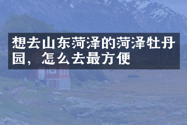 想去山东菏泽的菏泽牡丹园，怎么去最方便