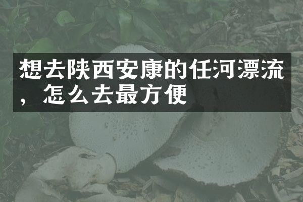 想去陕西安康的任河漂流，怎么去最方便