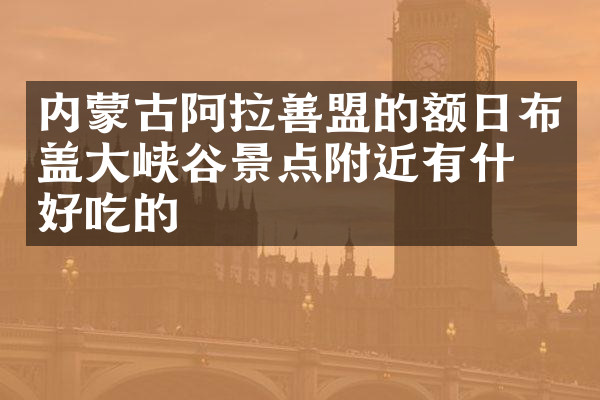 内蒙古阿拉善盟的额日布盖大峡谷景点附近有什么好吃的