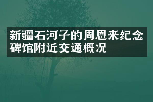 新疆石河子的周恩来纪念碑馆附近交通概况