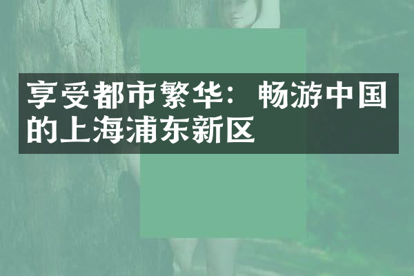 享受都市繁华：畅游中国的上海浦东新区
