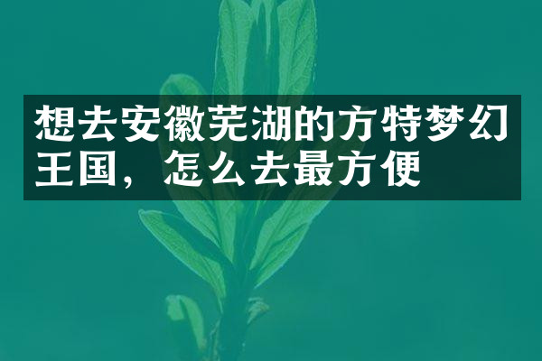 想去安徽芜湖的方特梦幻王国，怎么去最方便