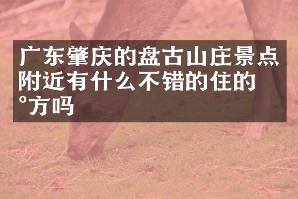广东肇庆的盘古山庄景点附近有什么不错的住的地方吗