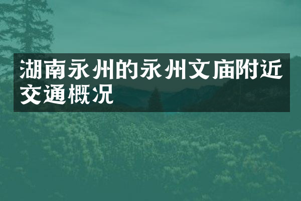 湖南永州的永州文庙附近交通概况