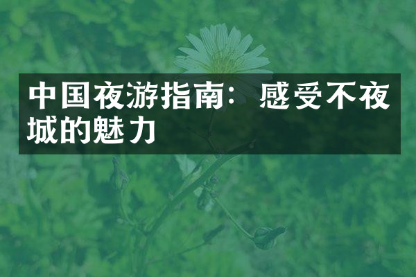 中国夜游指南：感受不夜城的魅力