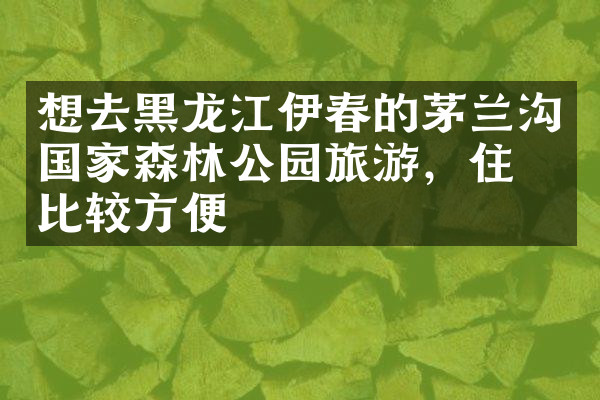 想去黑龙江伊春的茅兰沟国家森林公园旅游，住哪比较方便