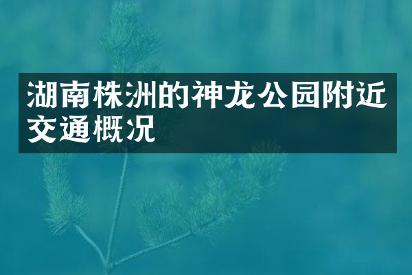 湖南株洲的神龙公园附近交通概况