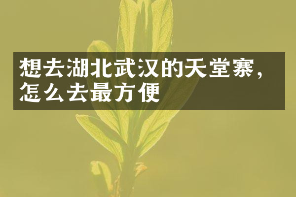 想去湖北武汉的天堂寨，怎么去最方便