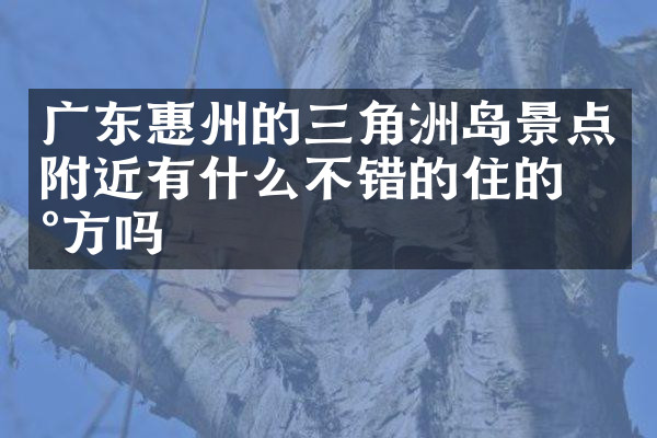 广东惠州的三角洲岛景点附近有什么不错的住的地方吗