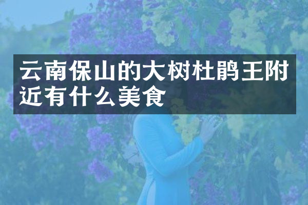 云南保山的大树杜鹃王附近有什么美食