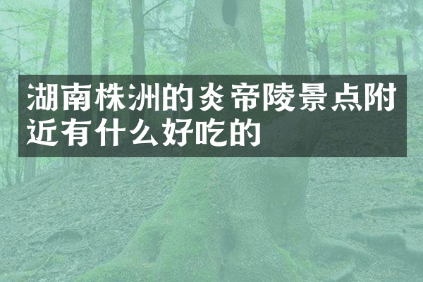 湖南株洲的炎帝陵景点附近有什么好吃的