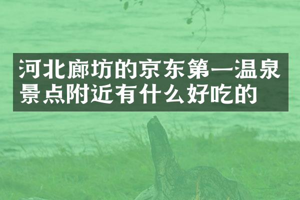 河北廊坊的京东第一温泉景点附近有什么好吃的