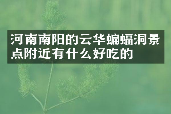 河南南阳的云华蝙蝠洞景点附近有什么好吃的