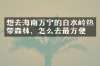 想去海南万宁的白水岭热带森林，怎么去最方便