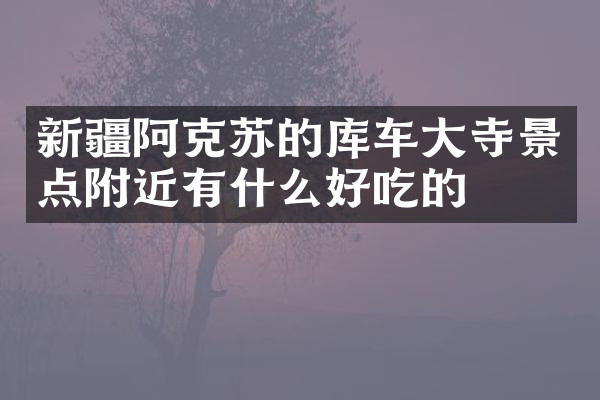 新疆阿克苏的库车大寺景点附近有什么好吃的