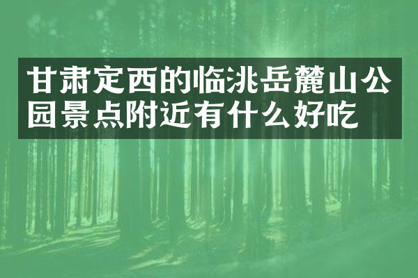 甘肃定西的临洮岳麓山公园景点附近有什么好吃的