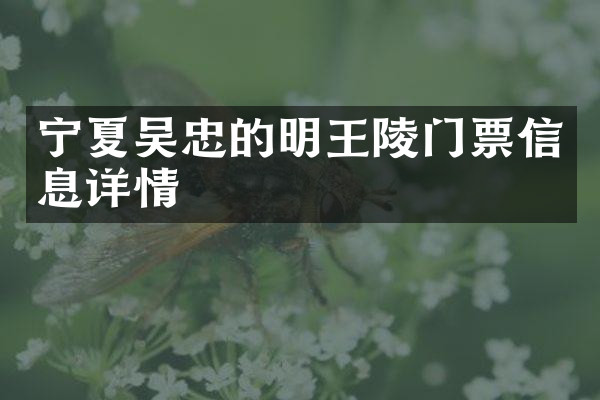 宁夏吴忠的明王陵门票信息详情