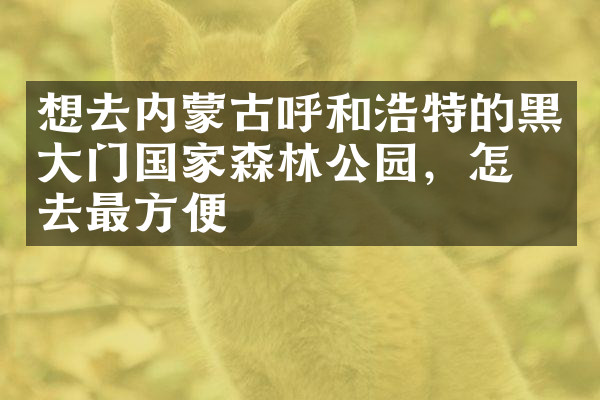 想去内蒙古呼和浩特的黑大门国家森林公园，怎么去最方便