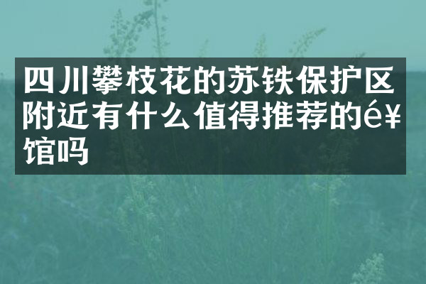 四川攀枝花的苏铁保护区附近有什么值得推荐的饭馆吗