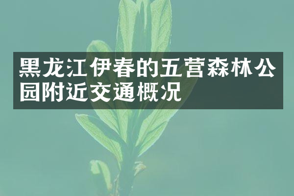 黑龙江伊春的五营森林公园附近交通概况