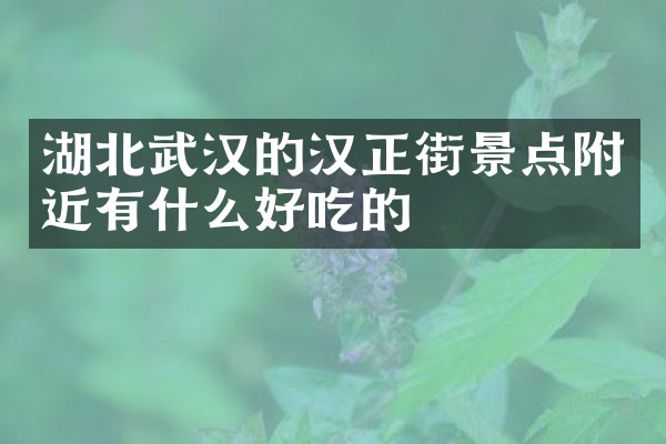 湖北武汉的汉正街景点附近有什么好吃的